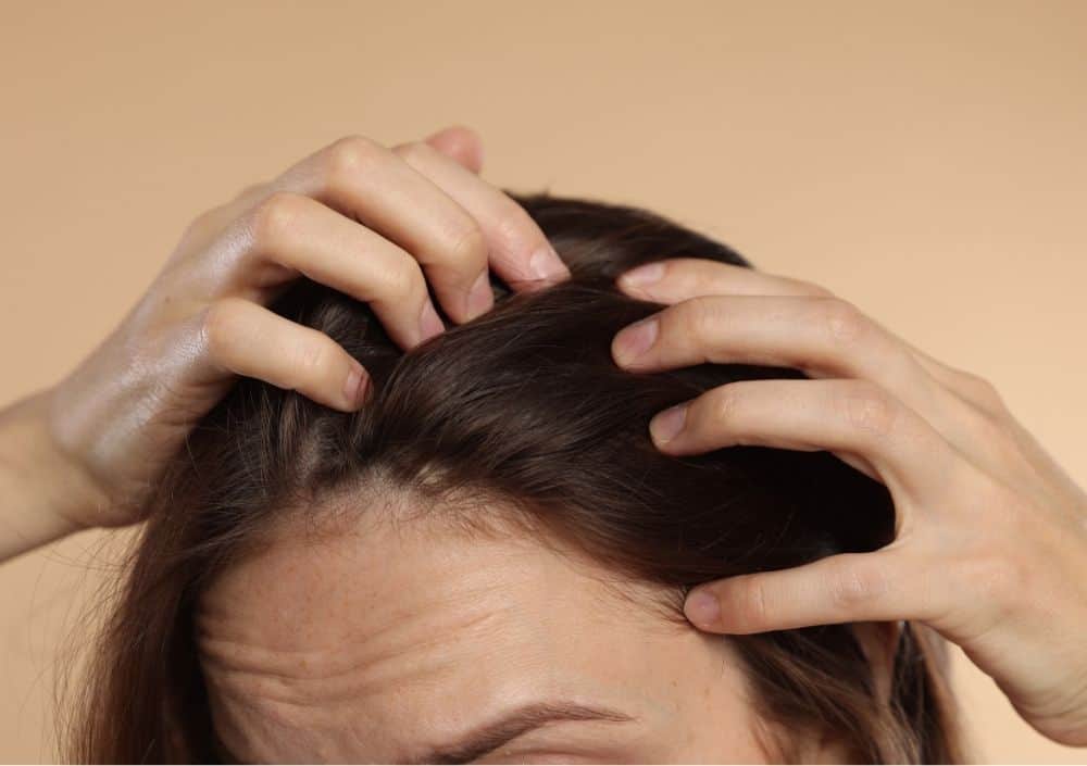 Haarausfall Wechseljahre Dresden